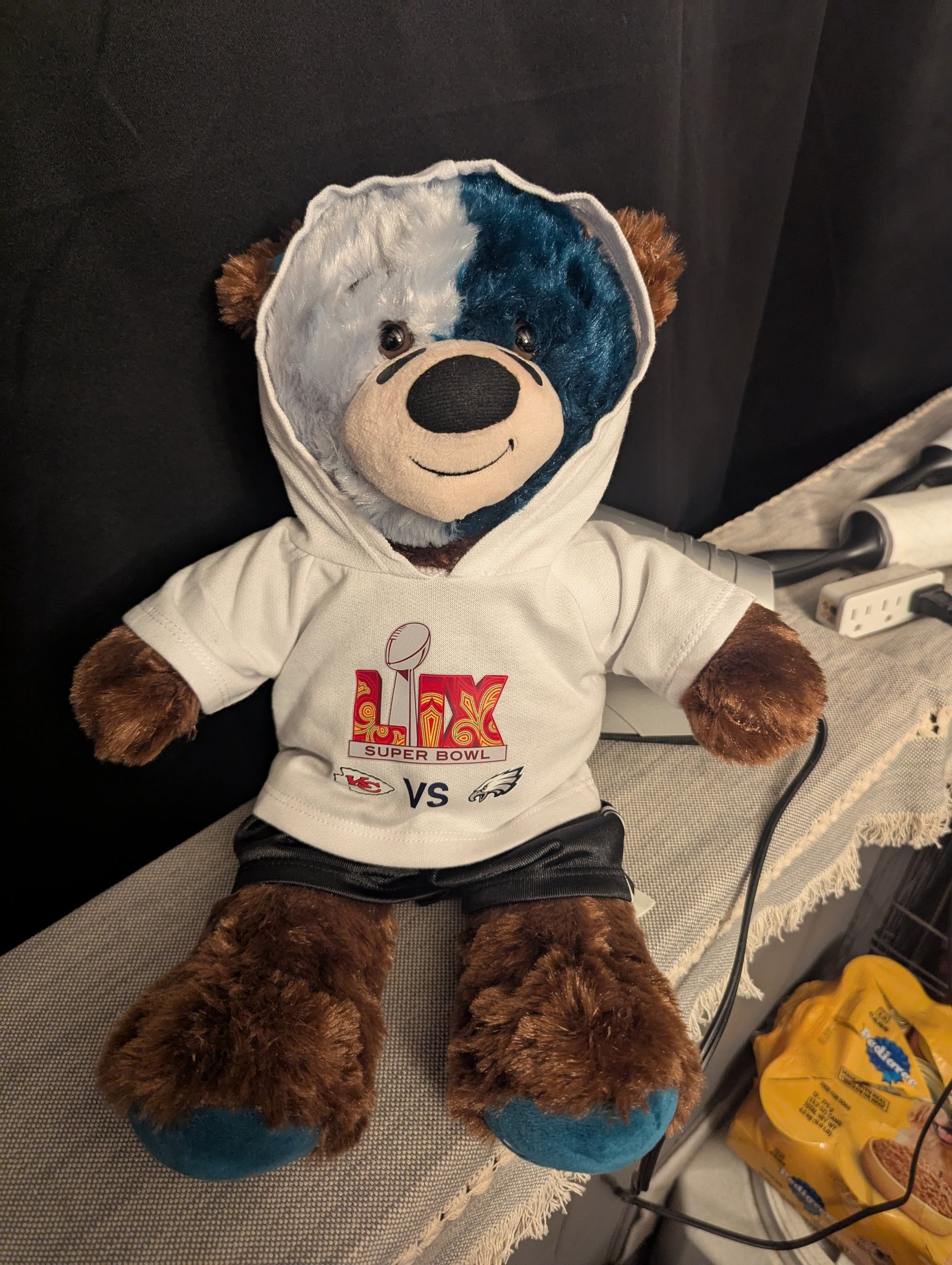 Eagles fan buys teddy bear with team gear