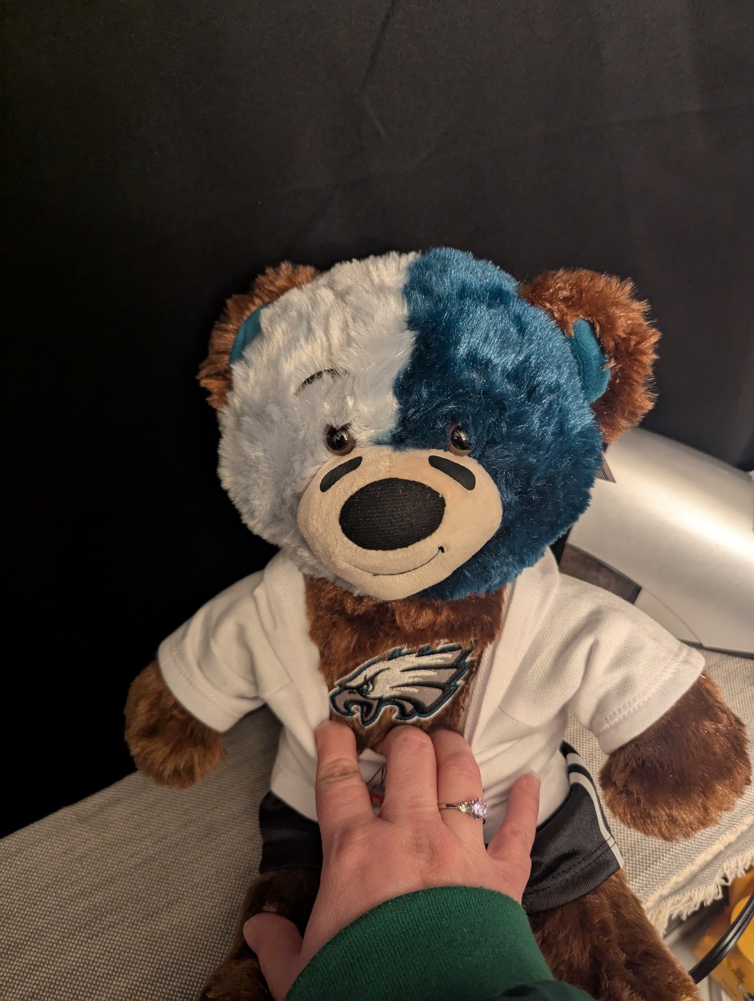 Eagles fan buys teddy bear with team gear
