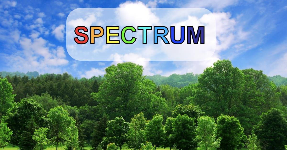 Spectrum Community - Public Chat | Facebook