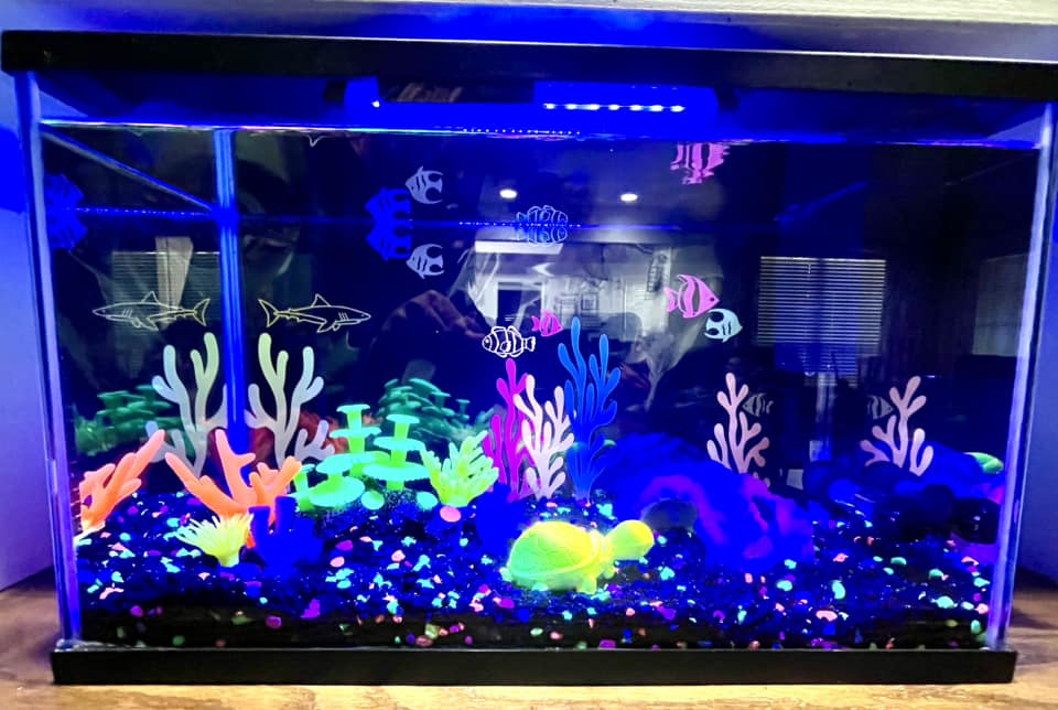 fish tank accessories glow in the dark GloFish Anemone Aquarium Ornament Yellow like decorations comes in a variety of striking glow Glow in Dark Aquarium Fish