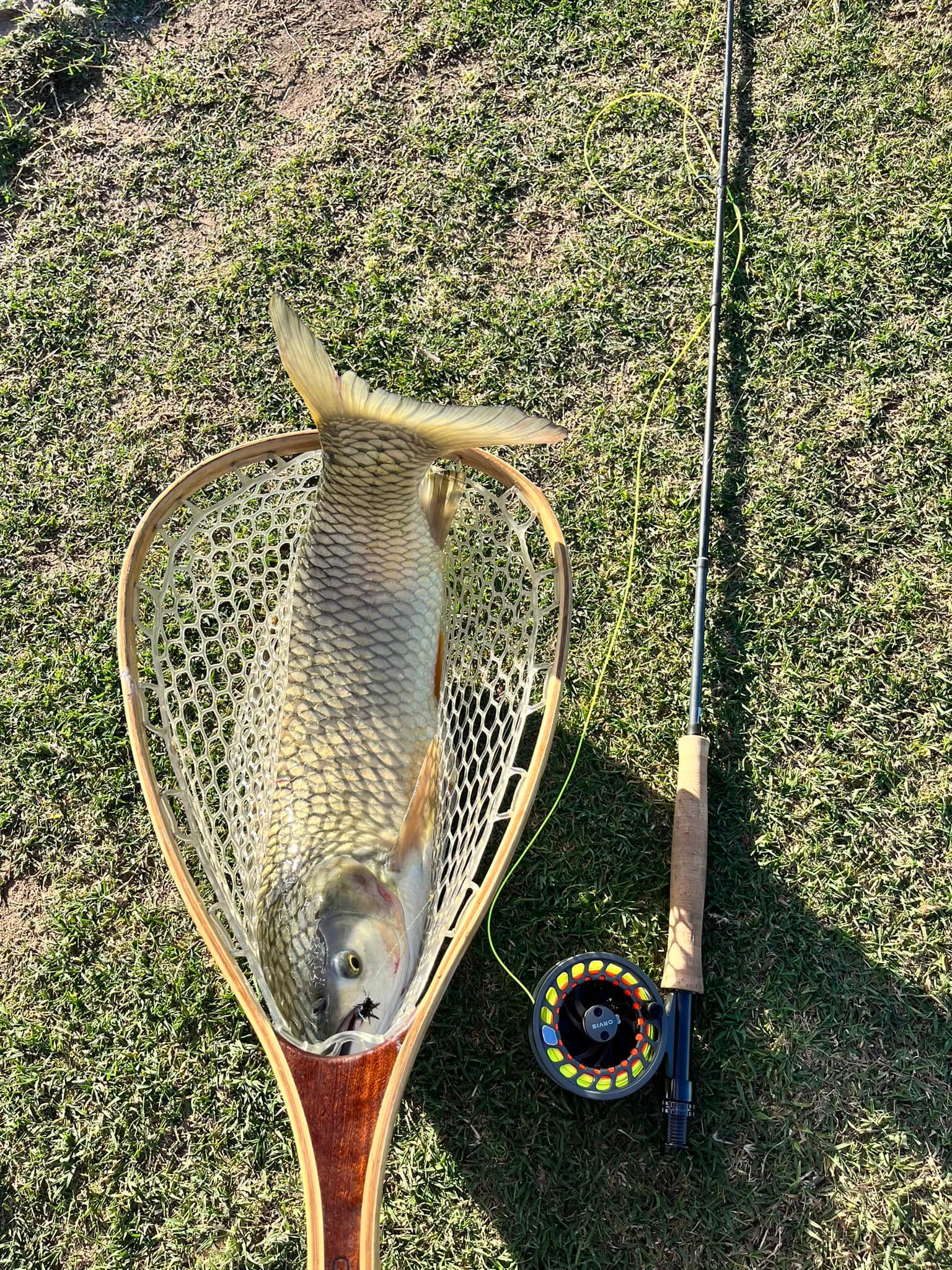 cabelas saltwater reels Cabela's Prestige Premier Fly Reel and reliable reels to Homemade Bottle Top Lure Abu Garcia Reel Model:BST300LP-HS-L Big Game Rigging