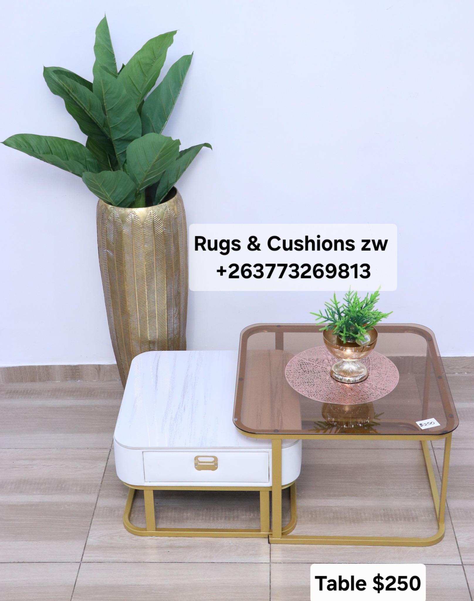 Rugs and Cushions Zimbabwe... - Rugs and Cushions Zimbabwe