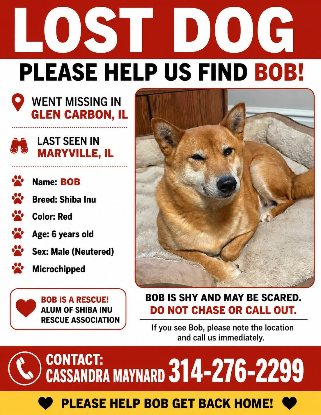 Lost dog in Collinsville area