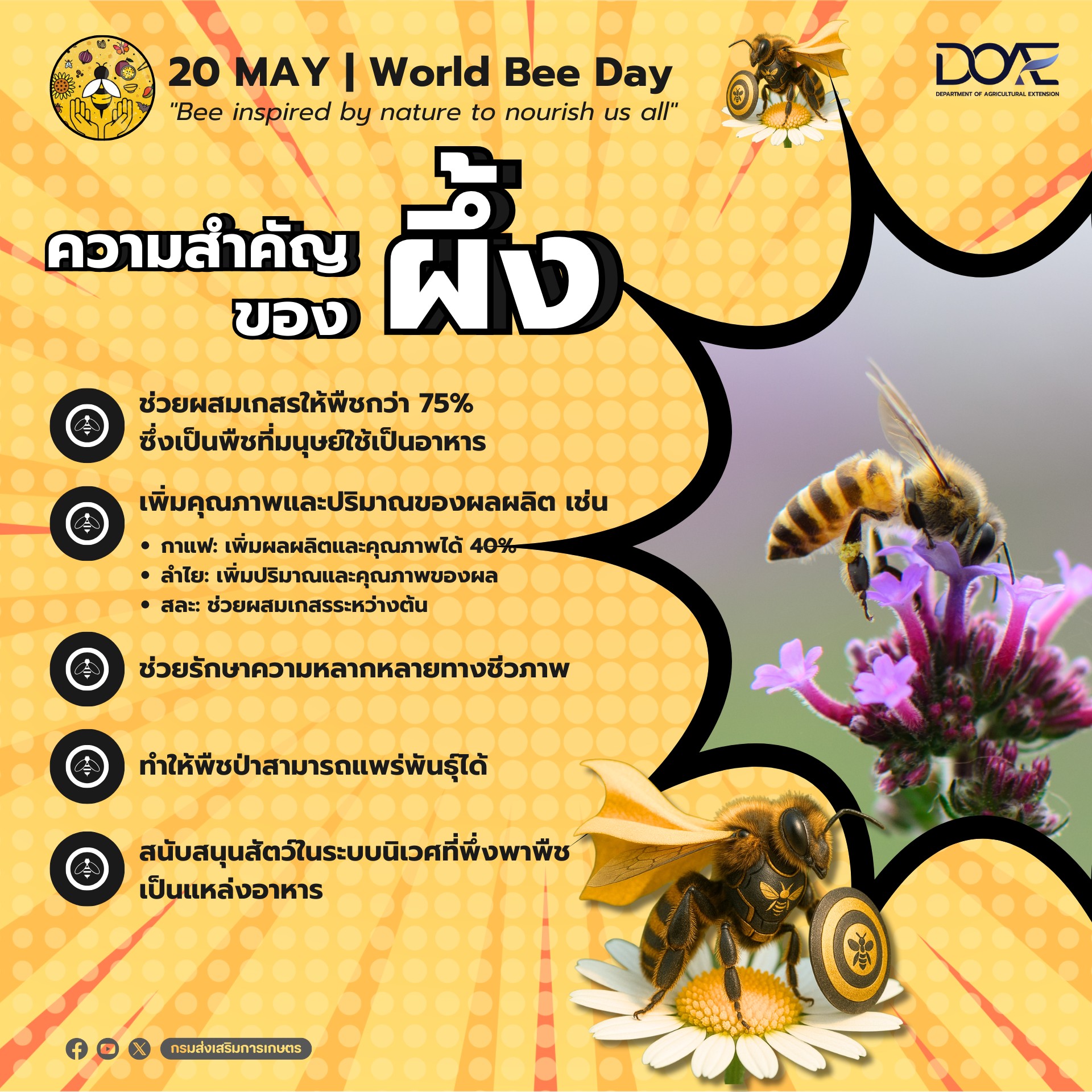 เกษตรชัยภูมิ กรมส่งเสริมการเกษตร