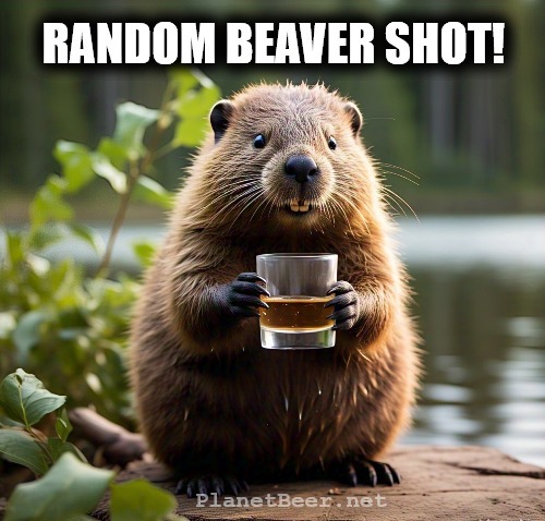 Planet Beer - Random Beaver Shot! 🥃🦫 #whiskeywednesday | Facebook