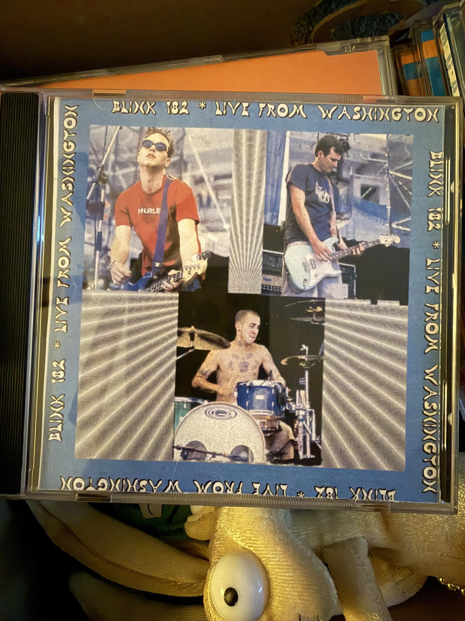 Rare 7-inch records added to collection including Blink-182