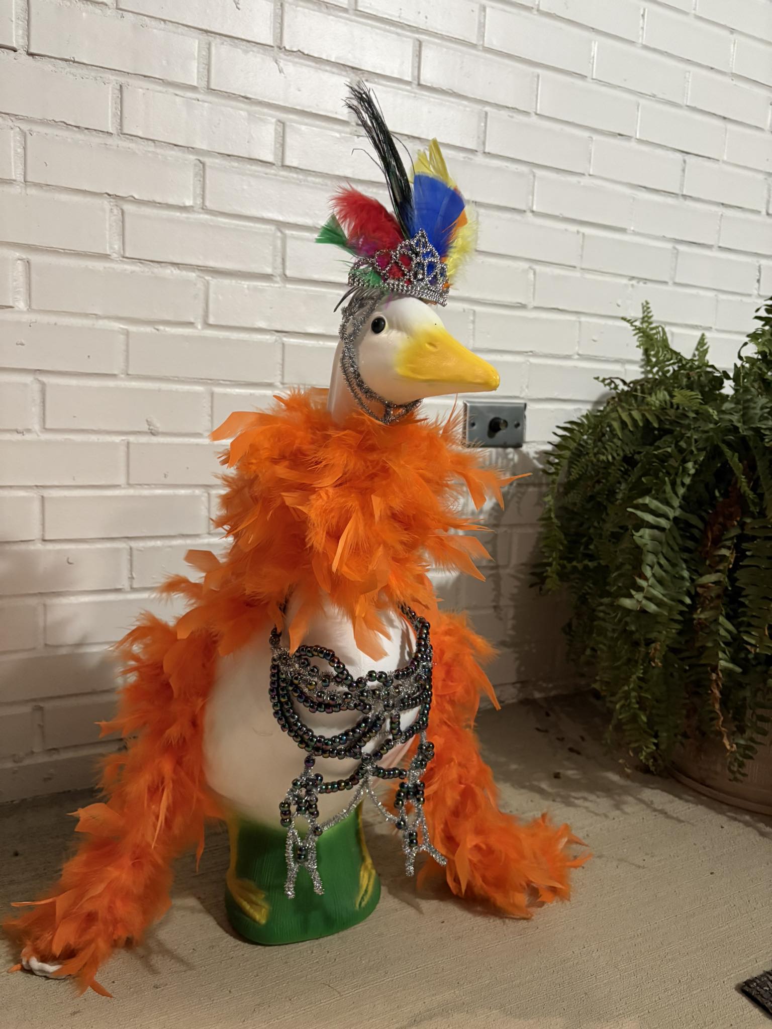 The Porch Goose Club of America | Lucy is ready for TS 12 next week 🫶🏼 ...
