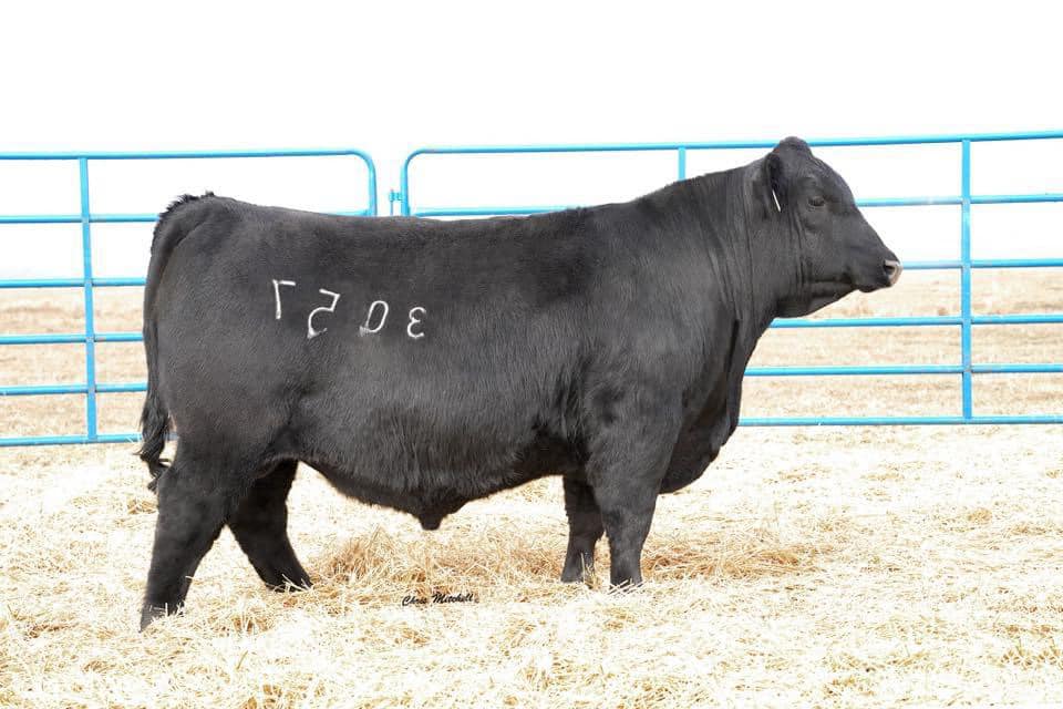 RANCHERS EMPLOYERS & EMPLOYEES LLC | Facebook