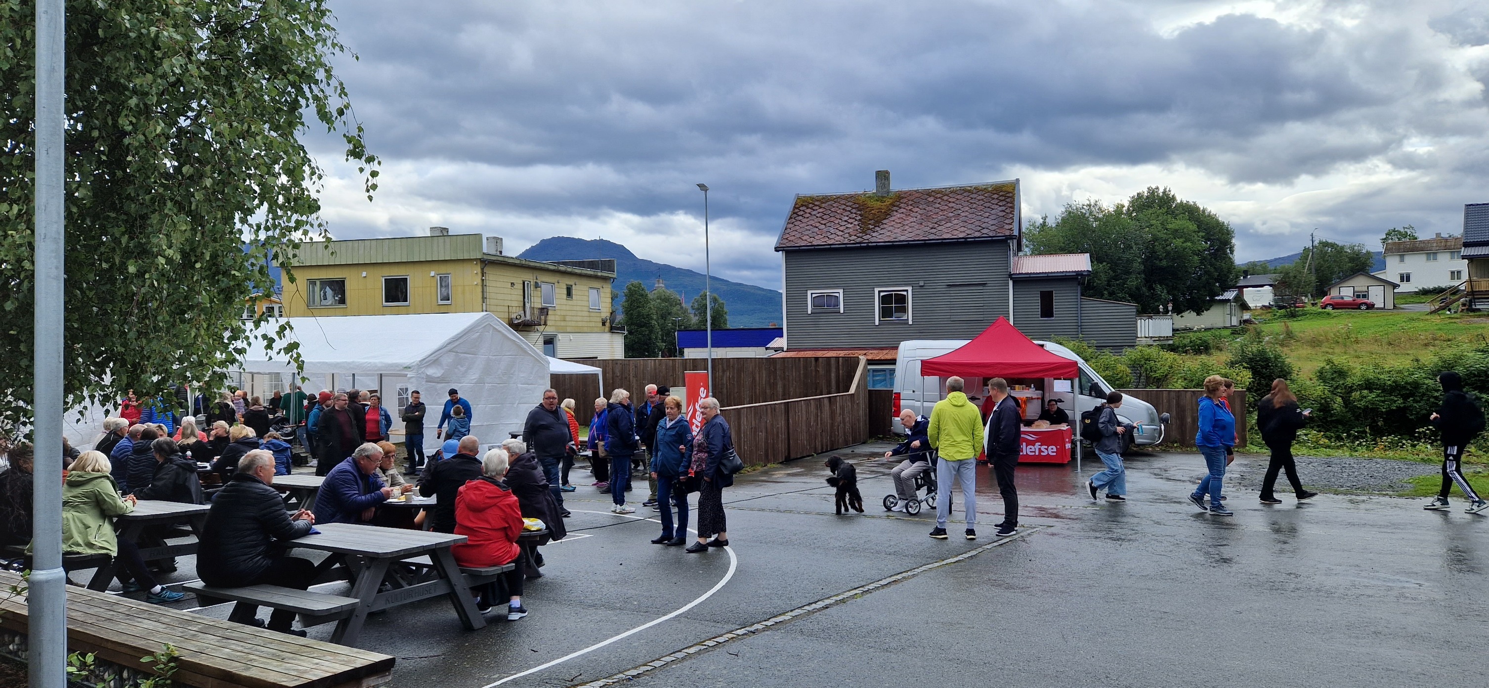 Liv og røre i Ibestad