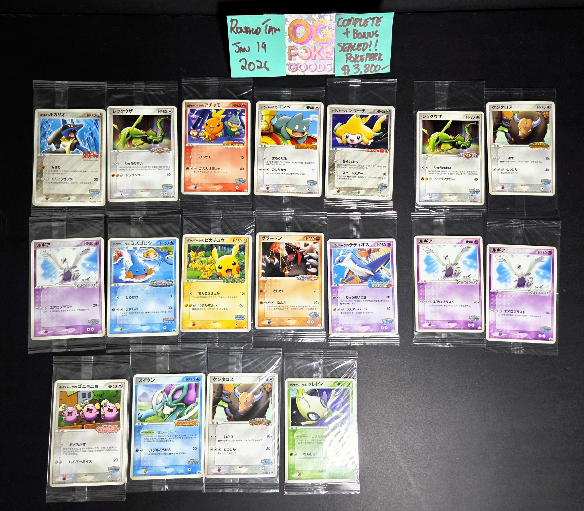 PSA10】アチャモ(PROMO){炎}〈103/XY-P〉[XY-P] – 晴れる屋2 アチャモ 