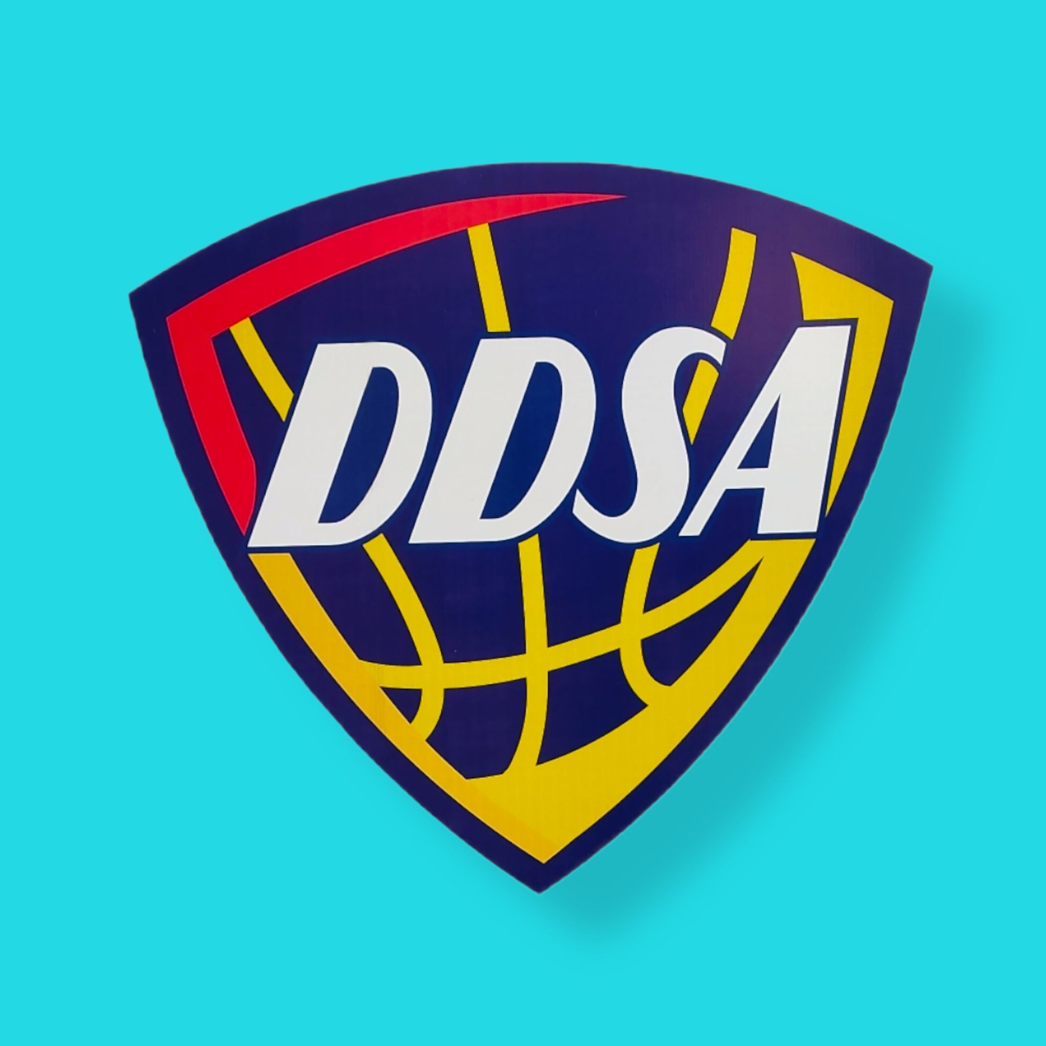 DDSA sports academy | Dubai