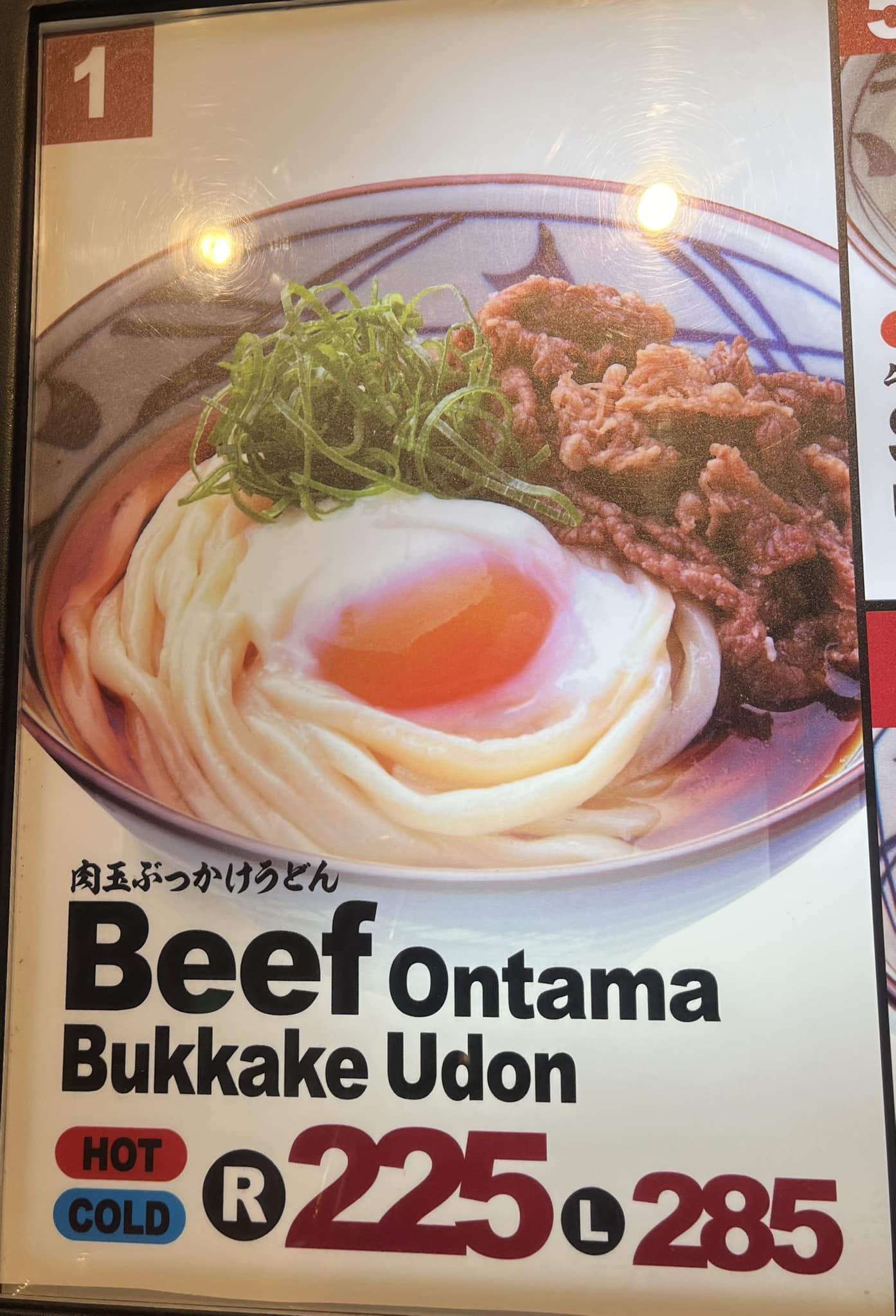 Bukkake Udon. About $5 USD for a large serving