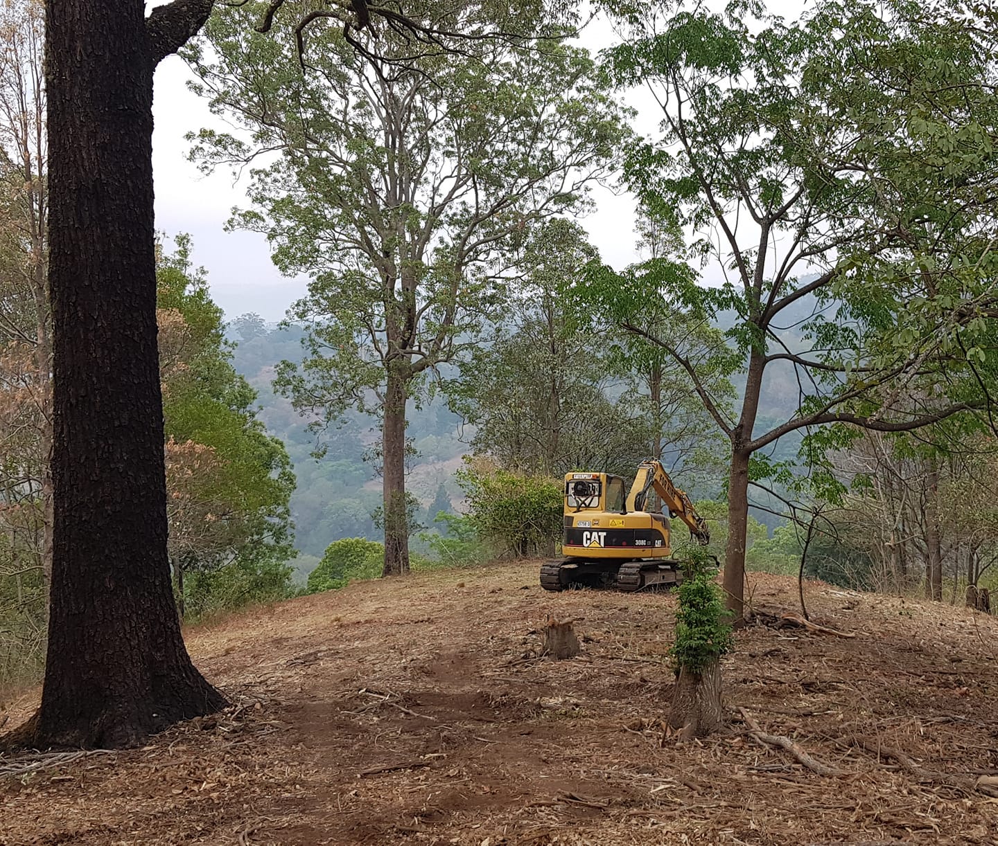 Northern Rivers Mulching and Clearing