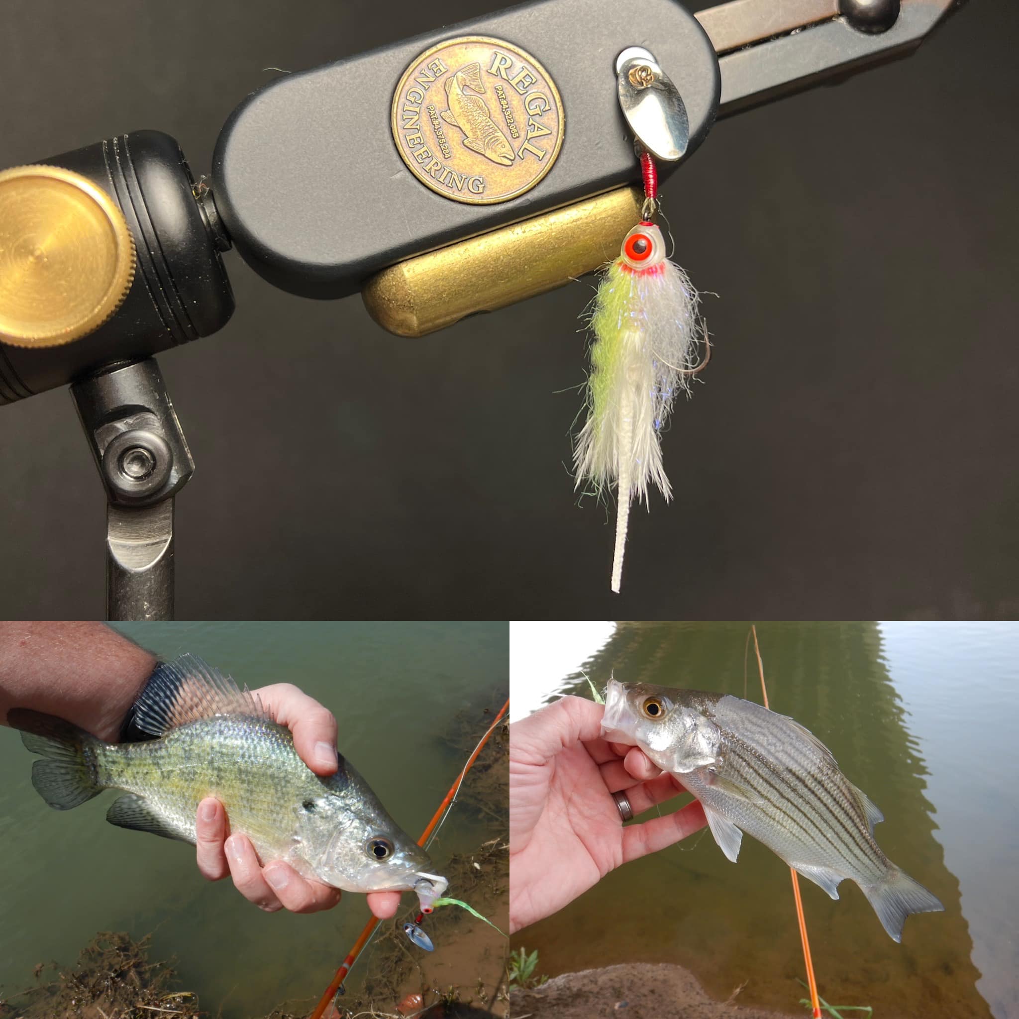 dragon tackle box 80+ Red & Lemon – Dragon Shield Rods Shop | Buy size-tmr76hf-76-heavy Model:7' Medium 10-20lb Catching whopping catfish and