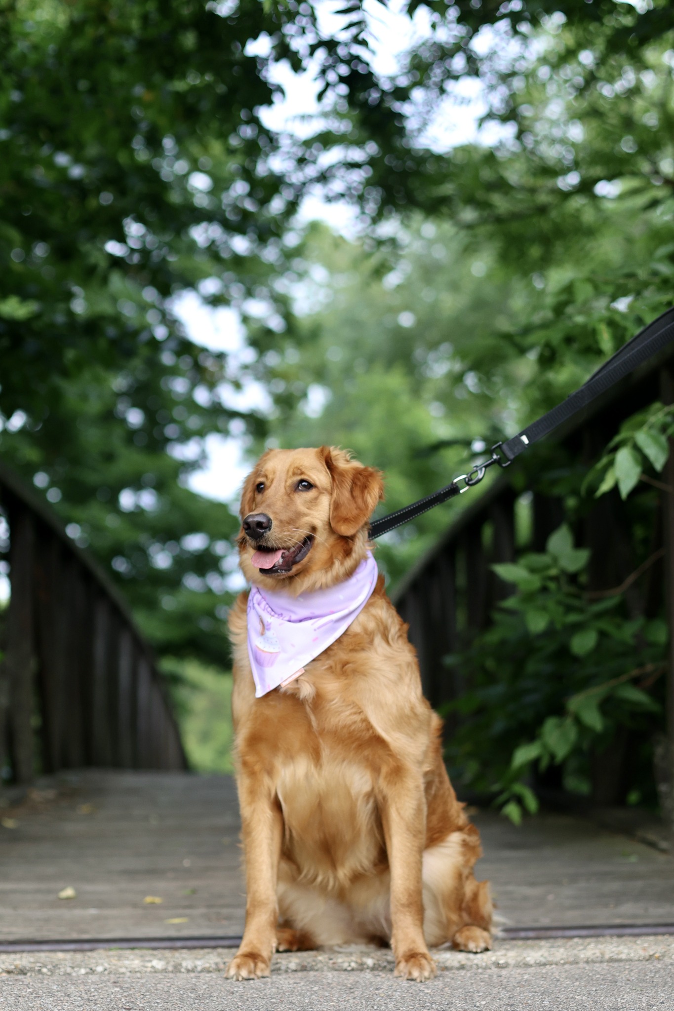 Laura B Photography added a new... Laura B Photography