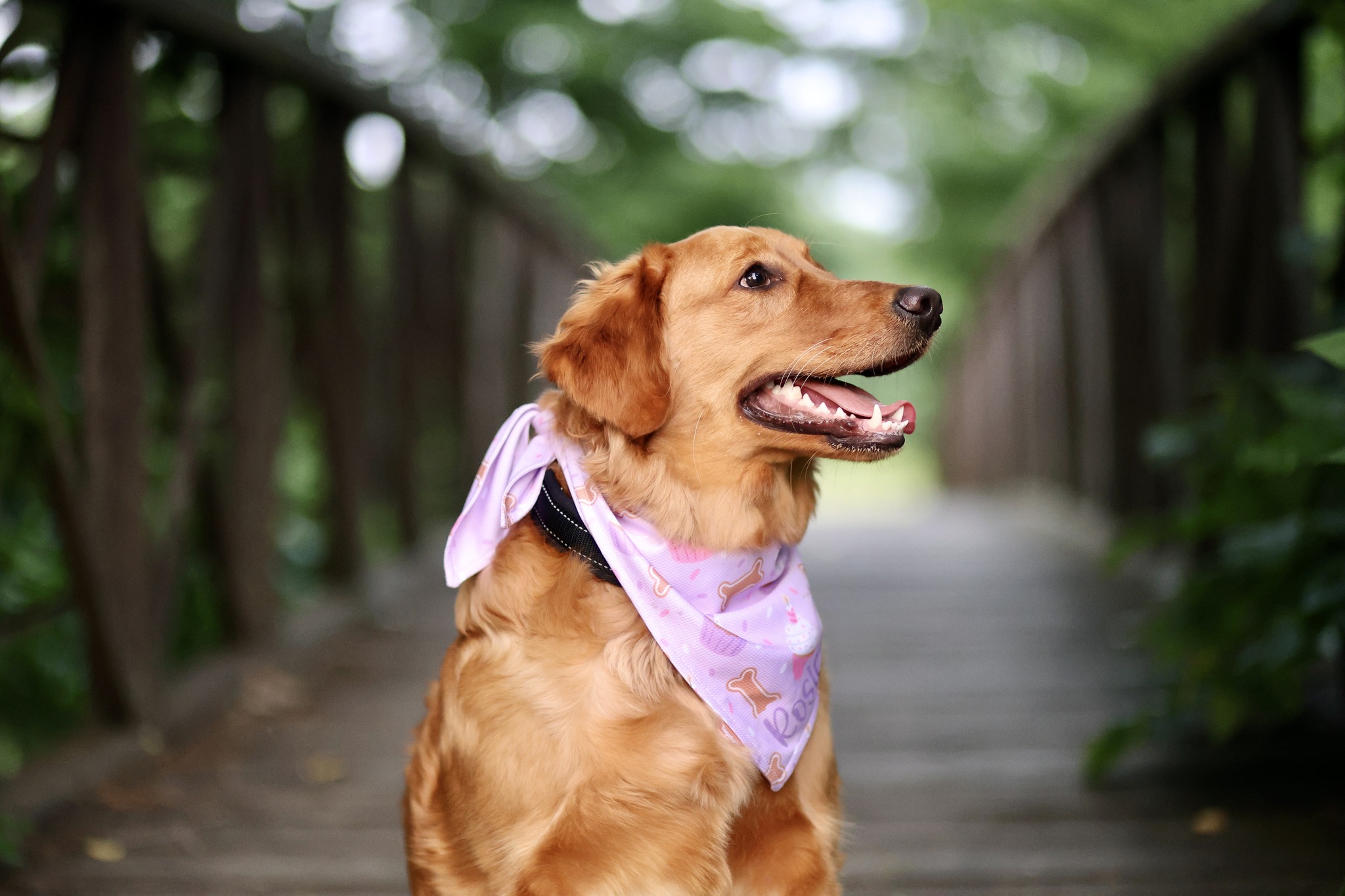Laura B Photography added a new... Laura B Photography