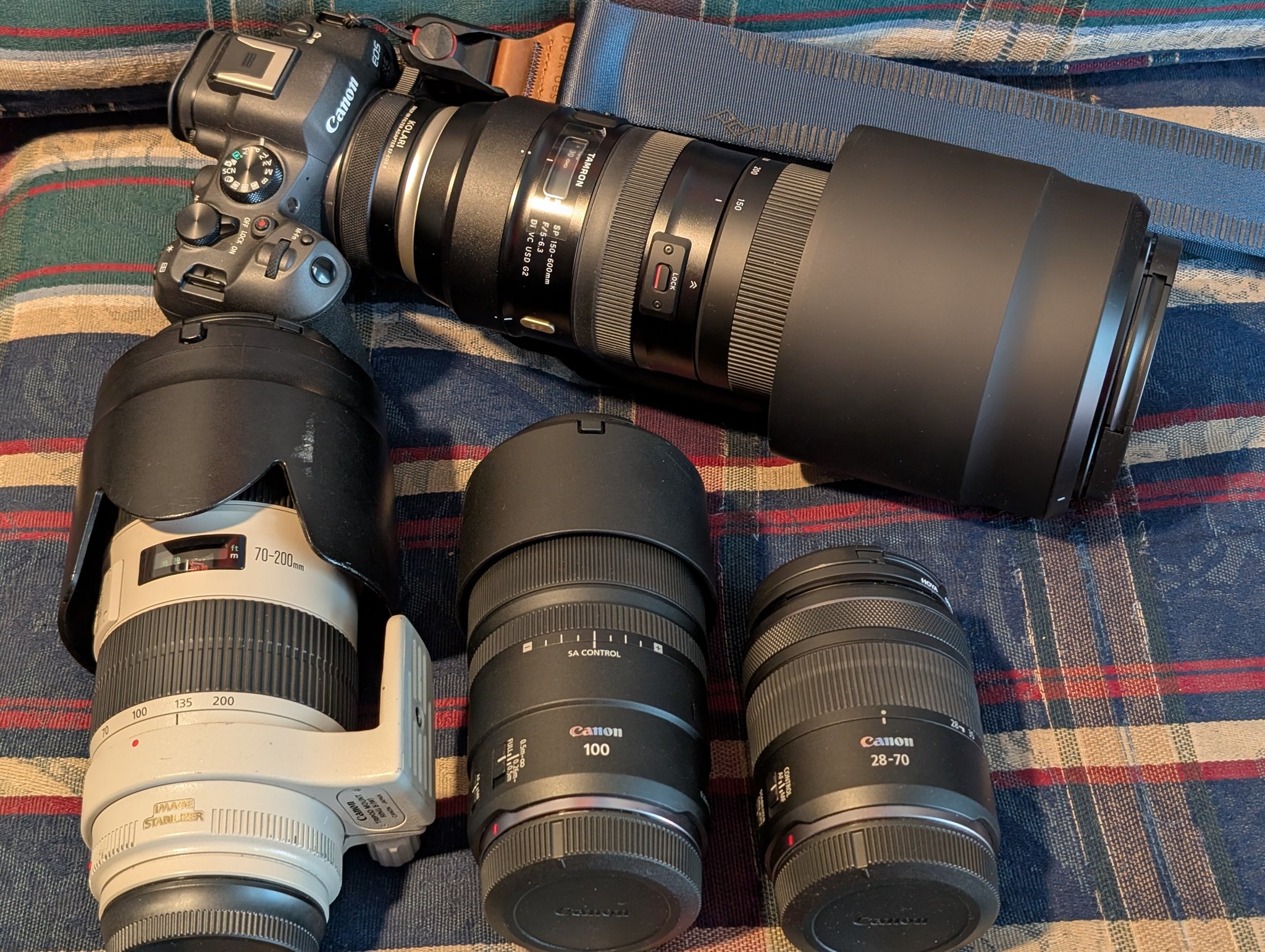 Adding Tamron 150-600mm and Peak Design strap to Canon collection