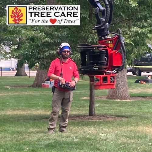 Preservation Tree Care