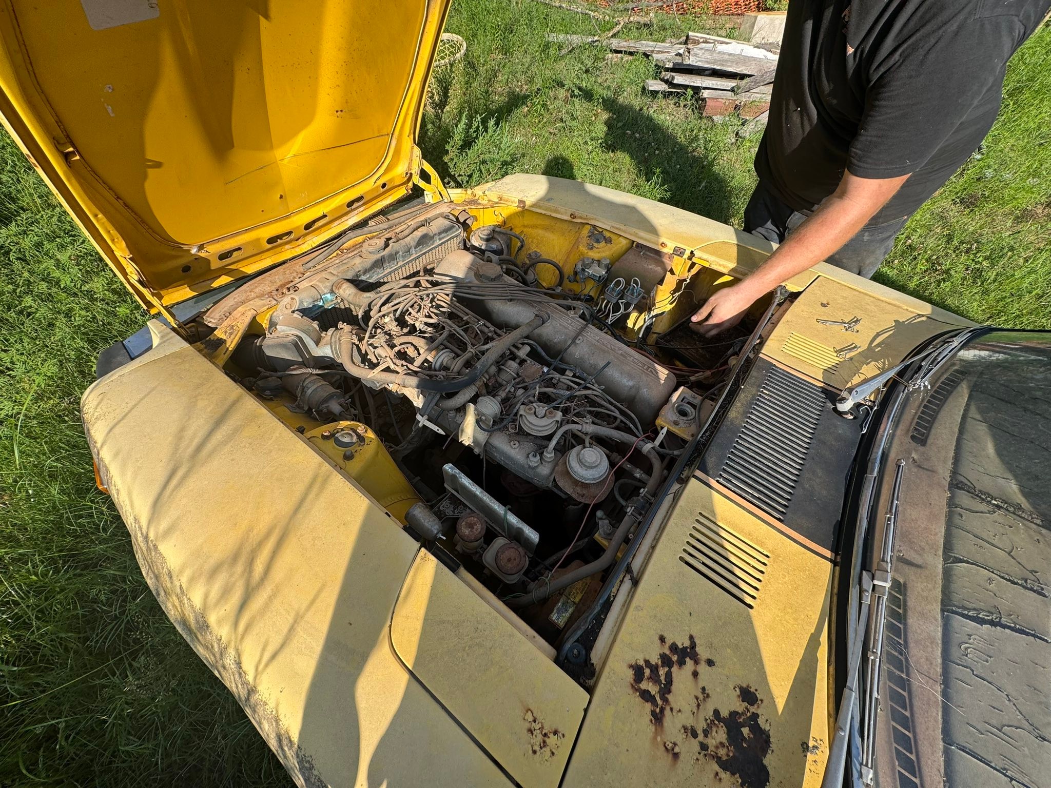 Old Datsun Z car found in field