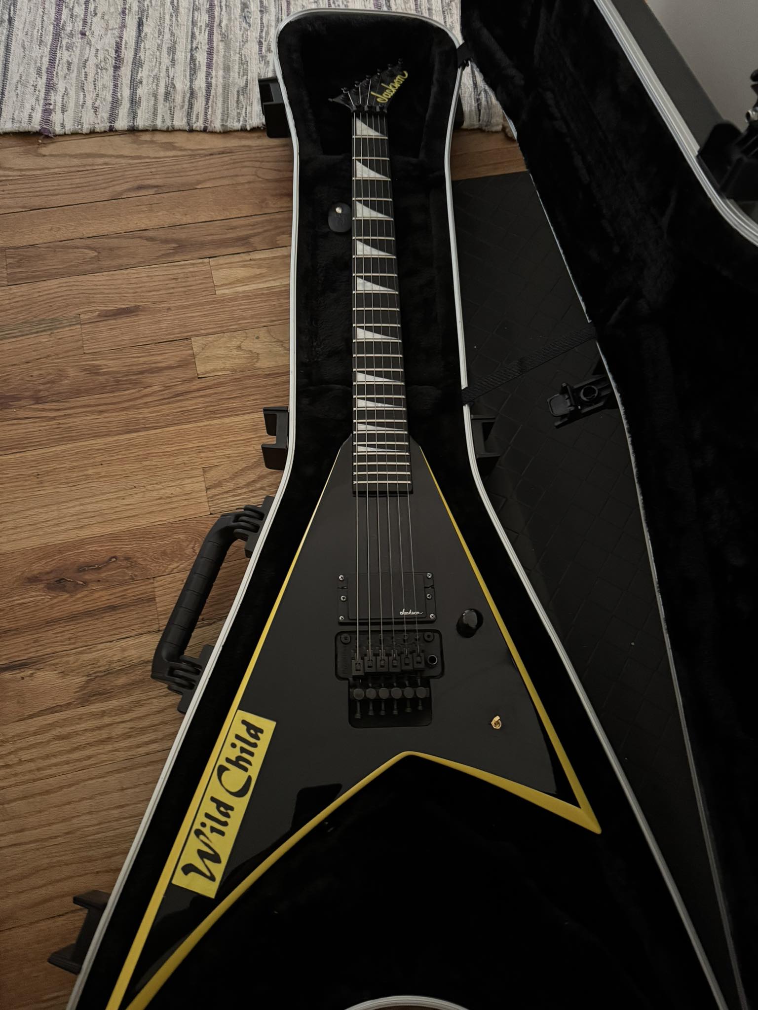 Looking for LTD DJ-600 guitar with distinct horn chip