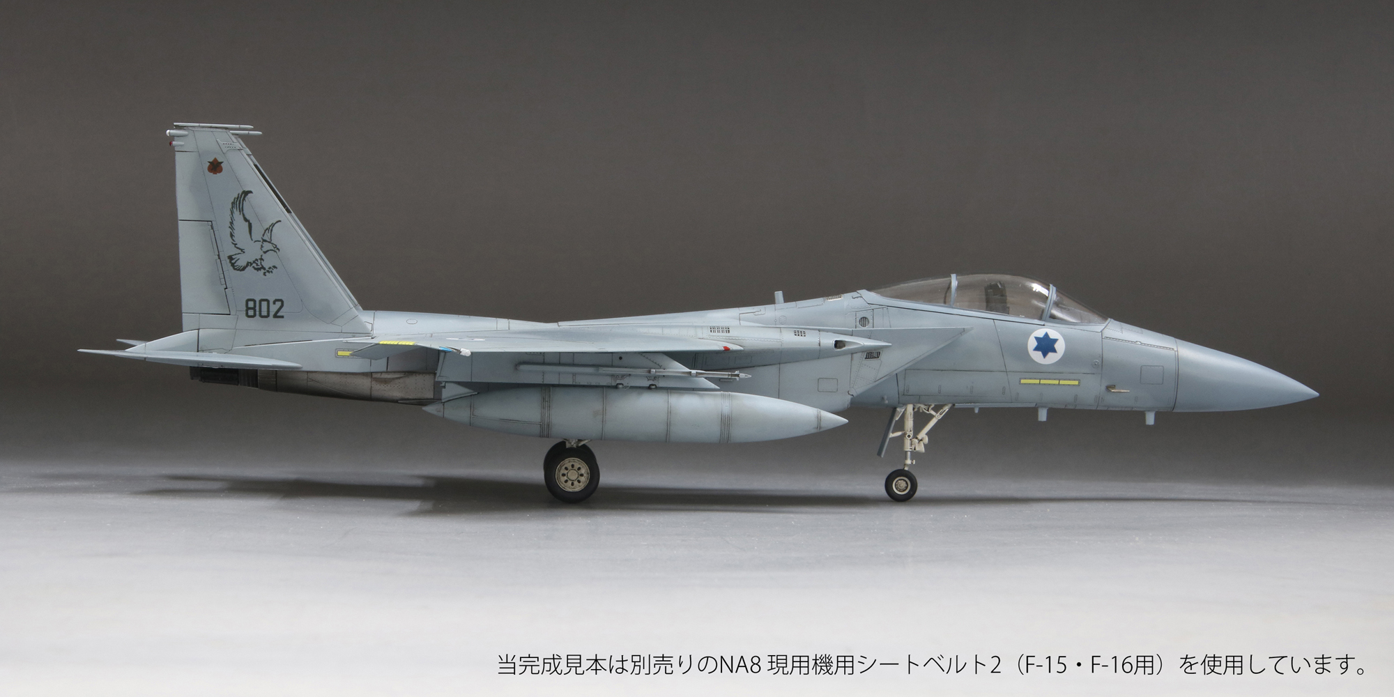 206 　1/48 F-15B/D イスラエル空軍・アメリカ空軍仕様 新製品 出荷のお知らせ】 1/72 イスラエル空軍 F-15C 戦闘機 “バズ