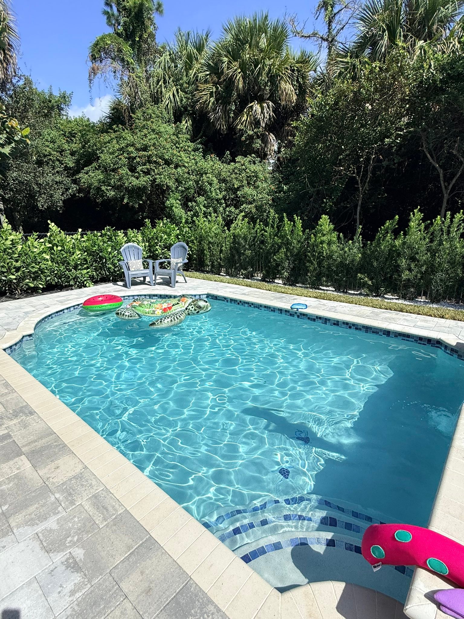 Concrete/Gunite Pool Owners | We were first time pool builders and the ...
