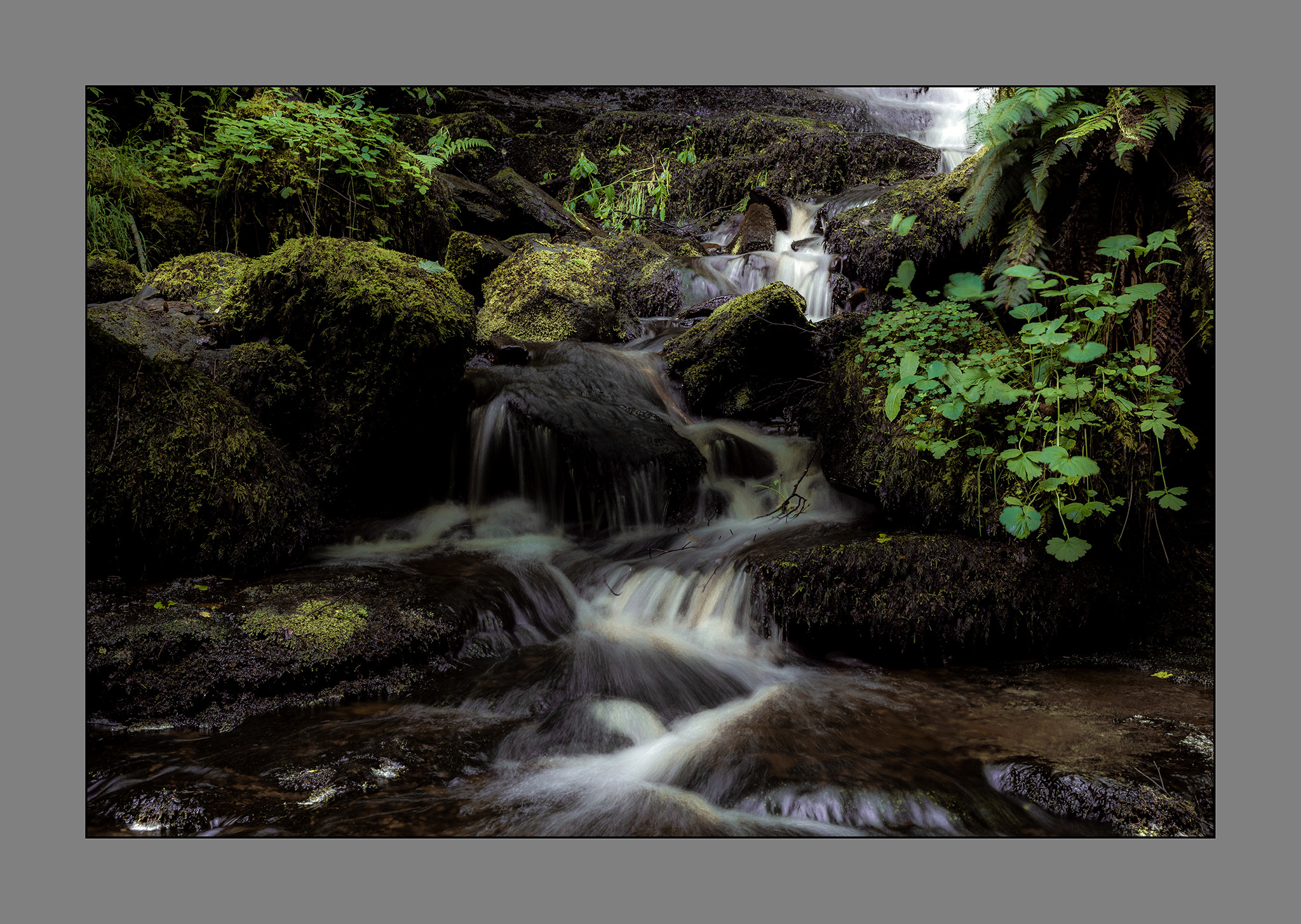John Dickinson Photography