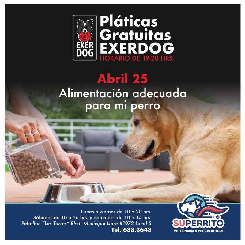 Superrito - ¡ TE ESPERAMOS ! 🤩 PLÁTICA [SIN COSTO]... | Facebook