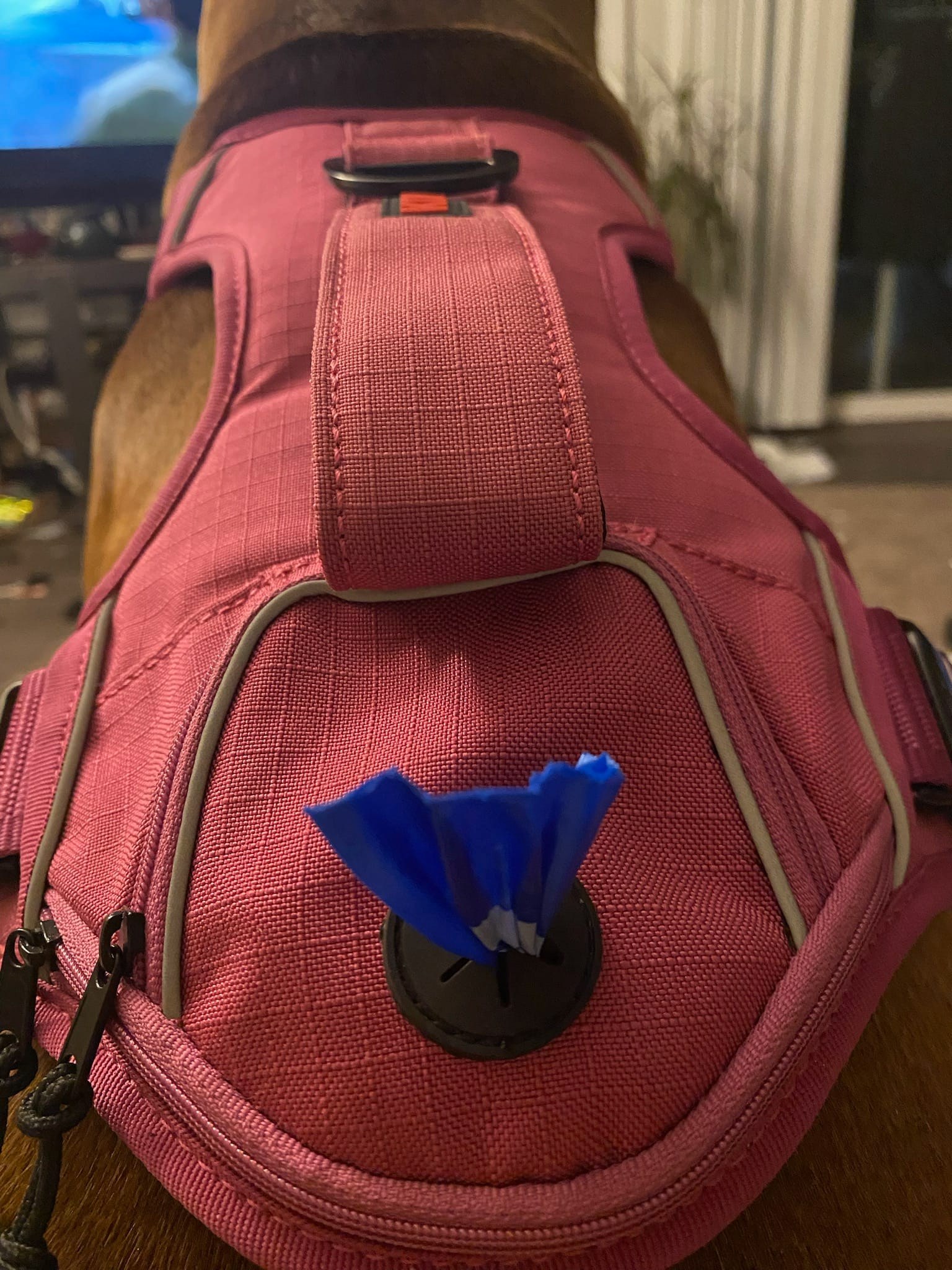 Dog harness with poop bag dispenser