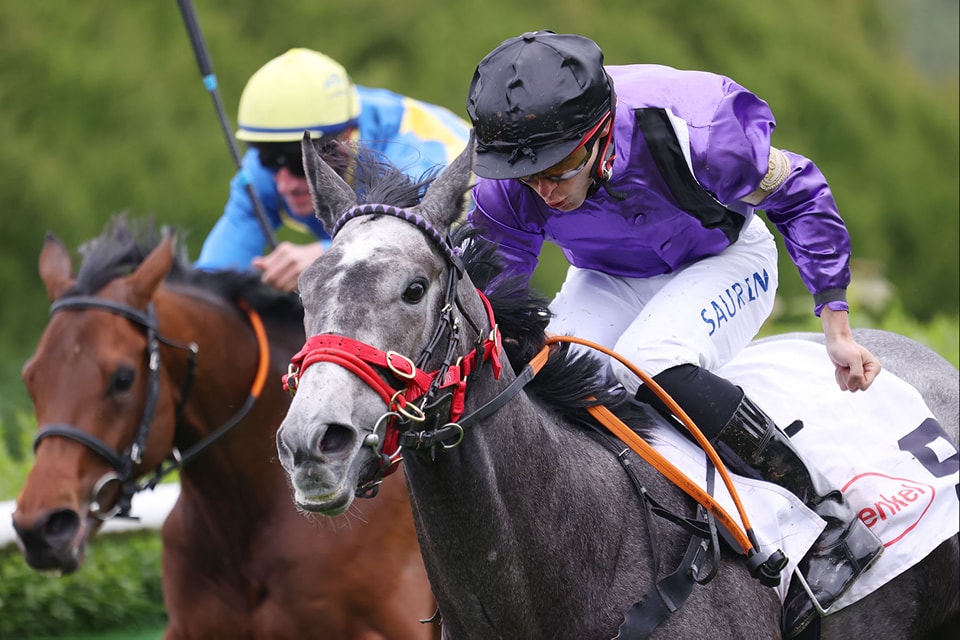 Team Valor purchases Irish filly Liefland