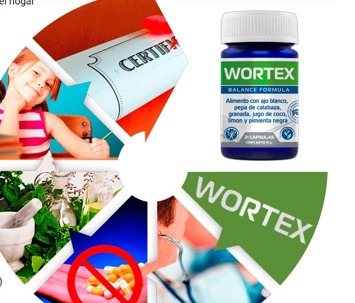 Wortex - CHILE | Santiago