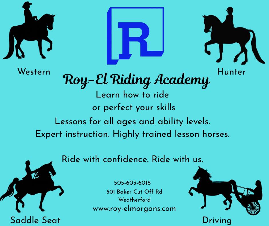 Roy-El Riding Academy offers lessons in all seats. Come elevate your ...