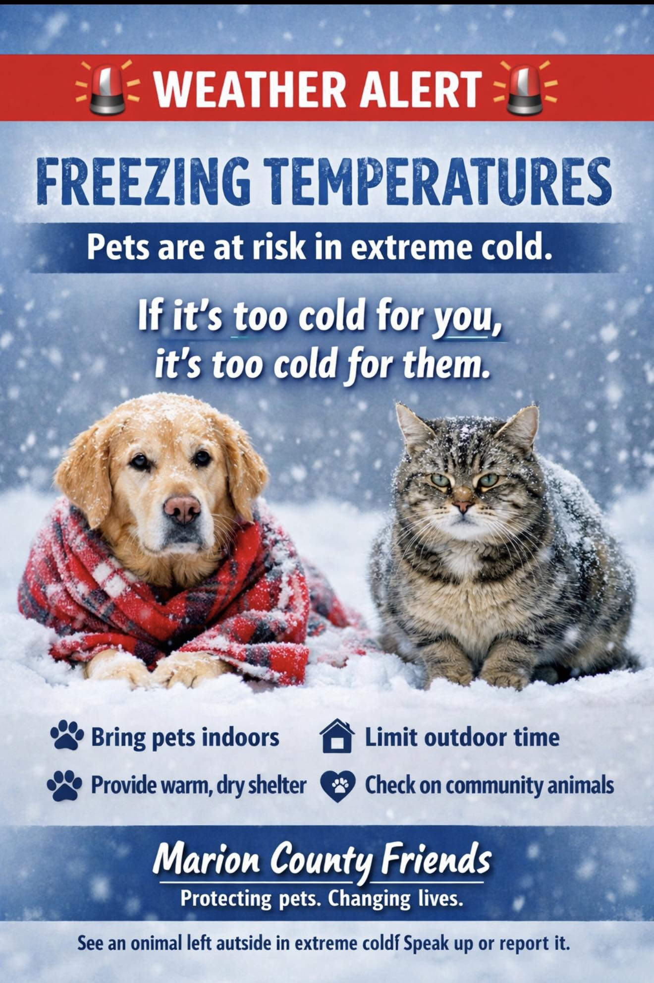 Marion County Friends and Volunteers | Cold Weather & Pets | A Message ...