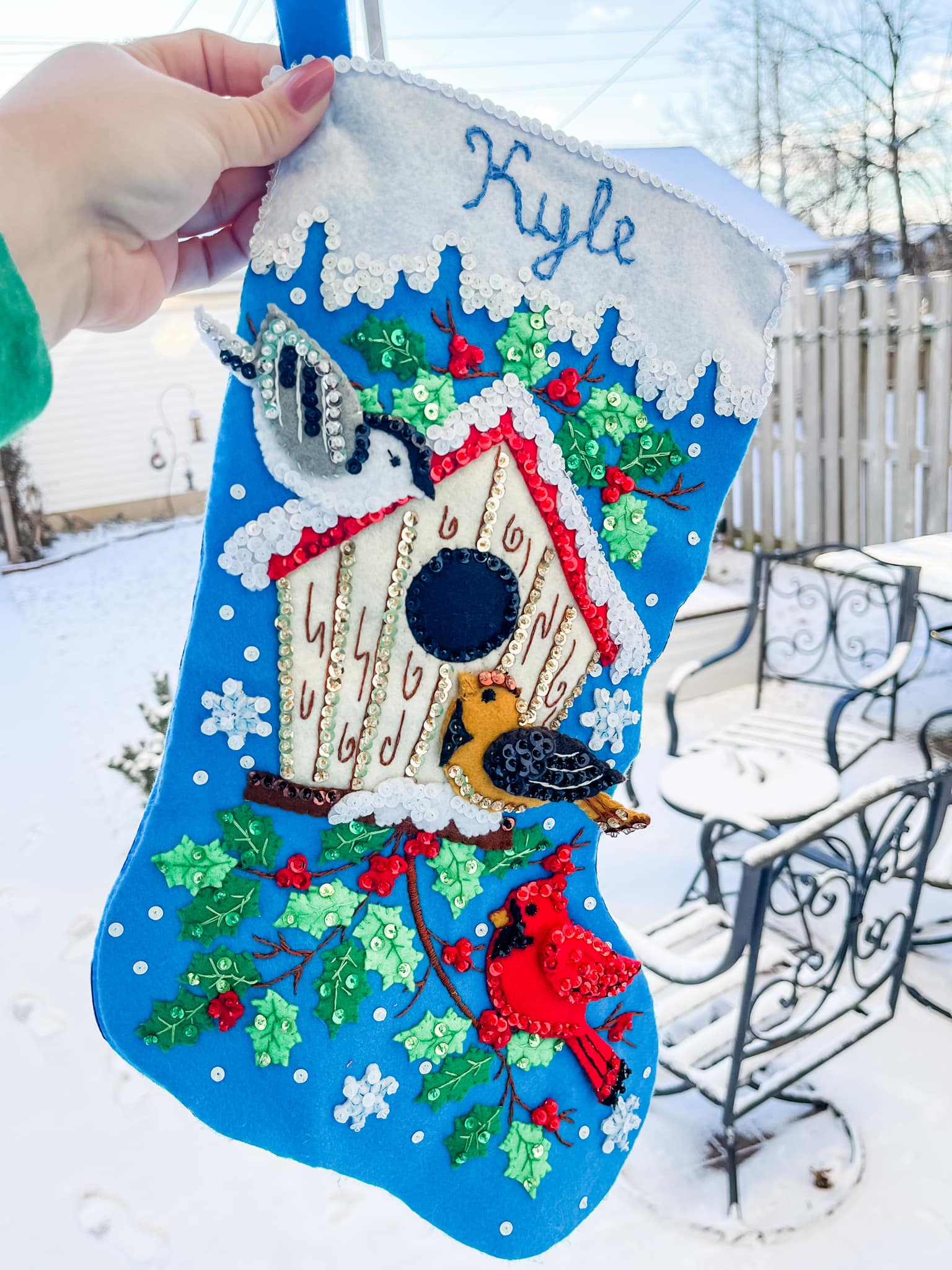 Cockatiel on Santa's head in handmade Bucilla stocking