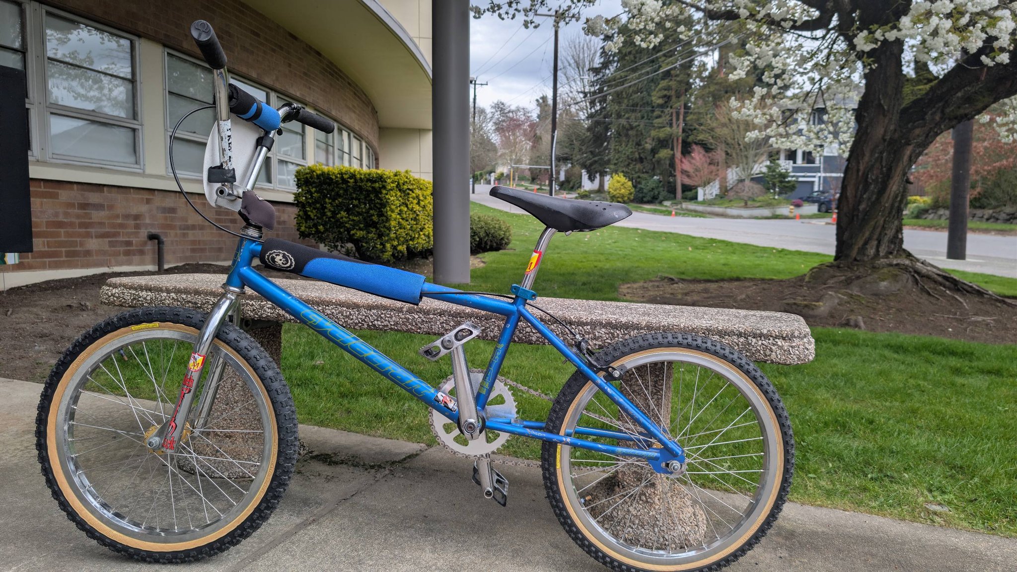 What make is this old school BMX frame with ZX serial number?