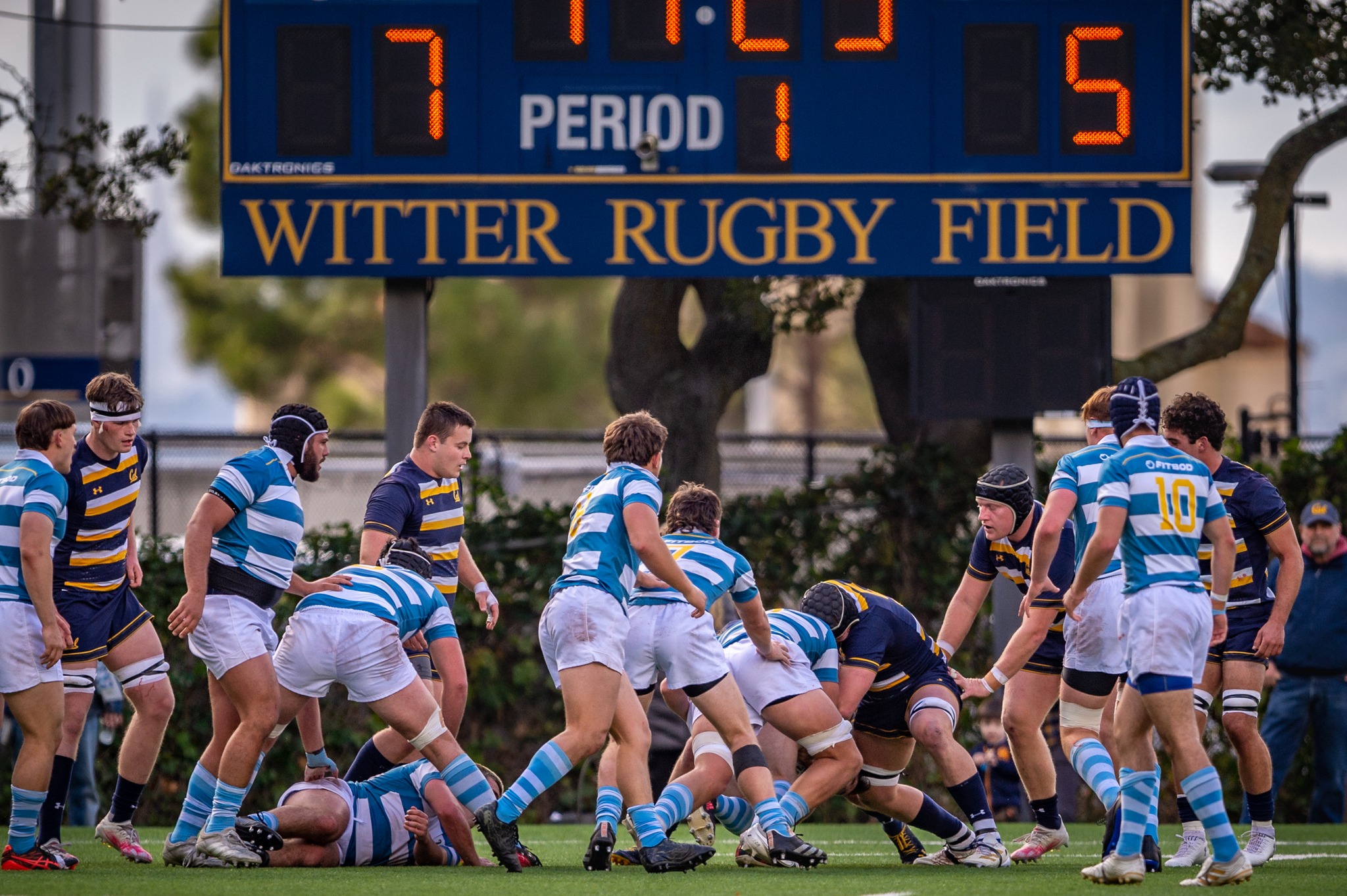 UCLA Men's Rugby | Los Angeles CA