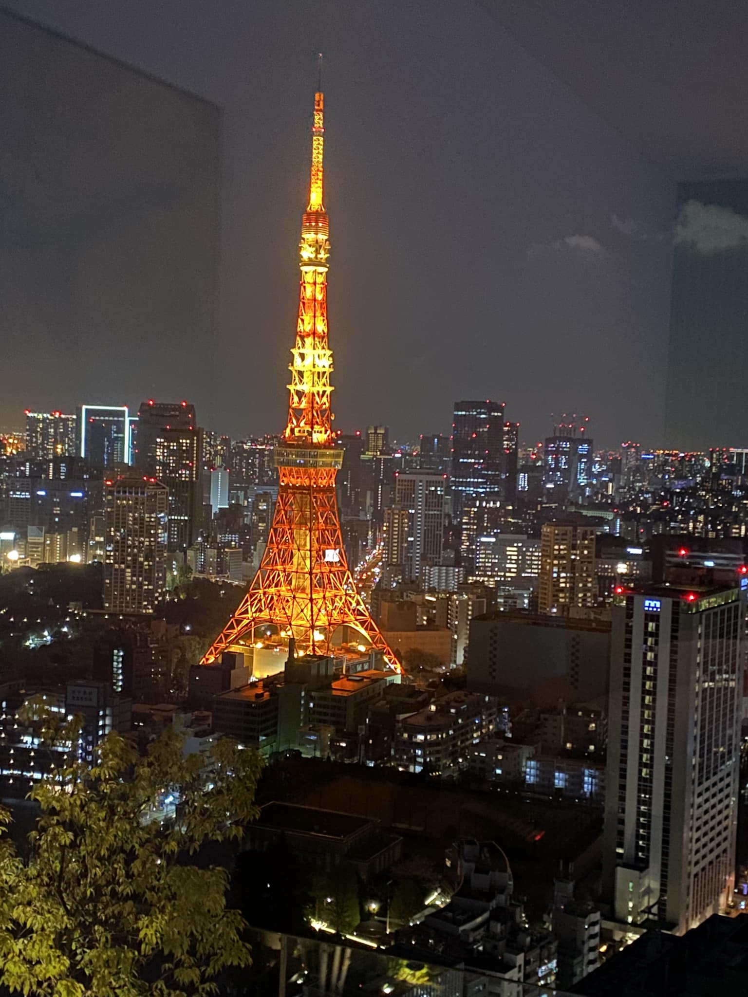 View from my hotel room in Tokyo, the beautiful Tokyo Tower ?