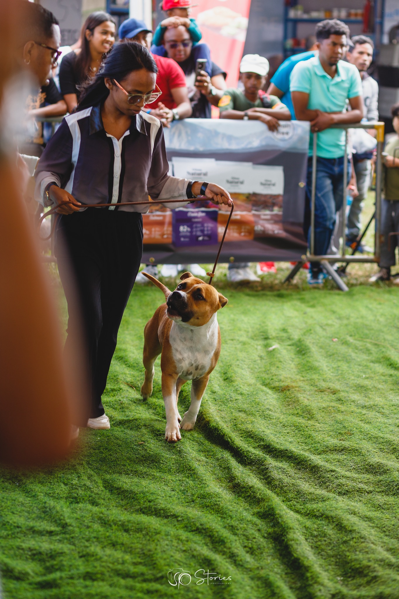 FAST MADA