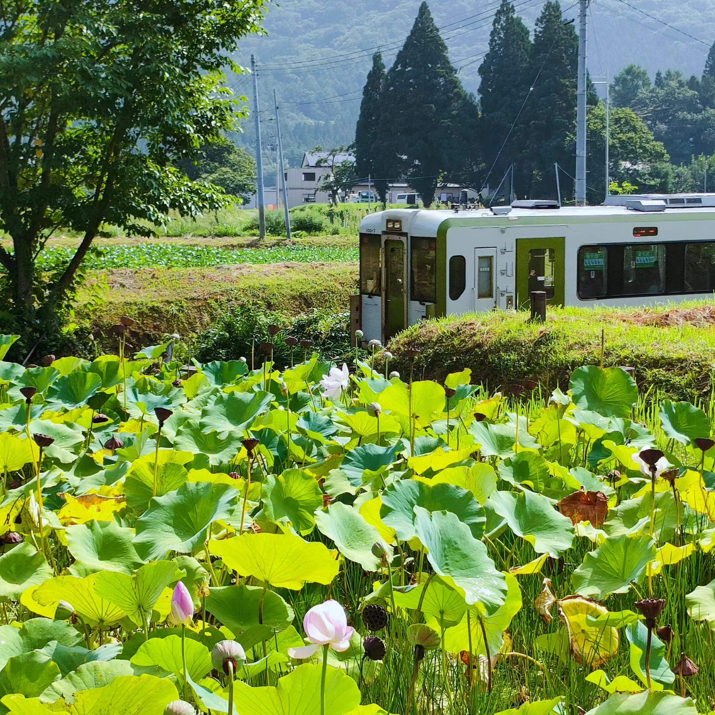 絆すてーしょん（リフォームの鬼） - 社長ブログ更新！ https://www.kizuna-station.com/blog02/2018 ...