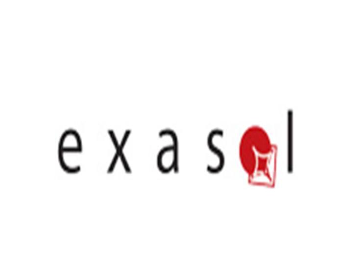 Exasol Kft.
