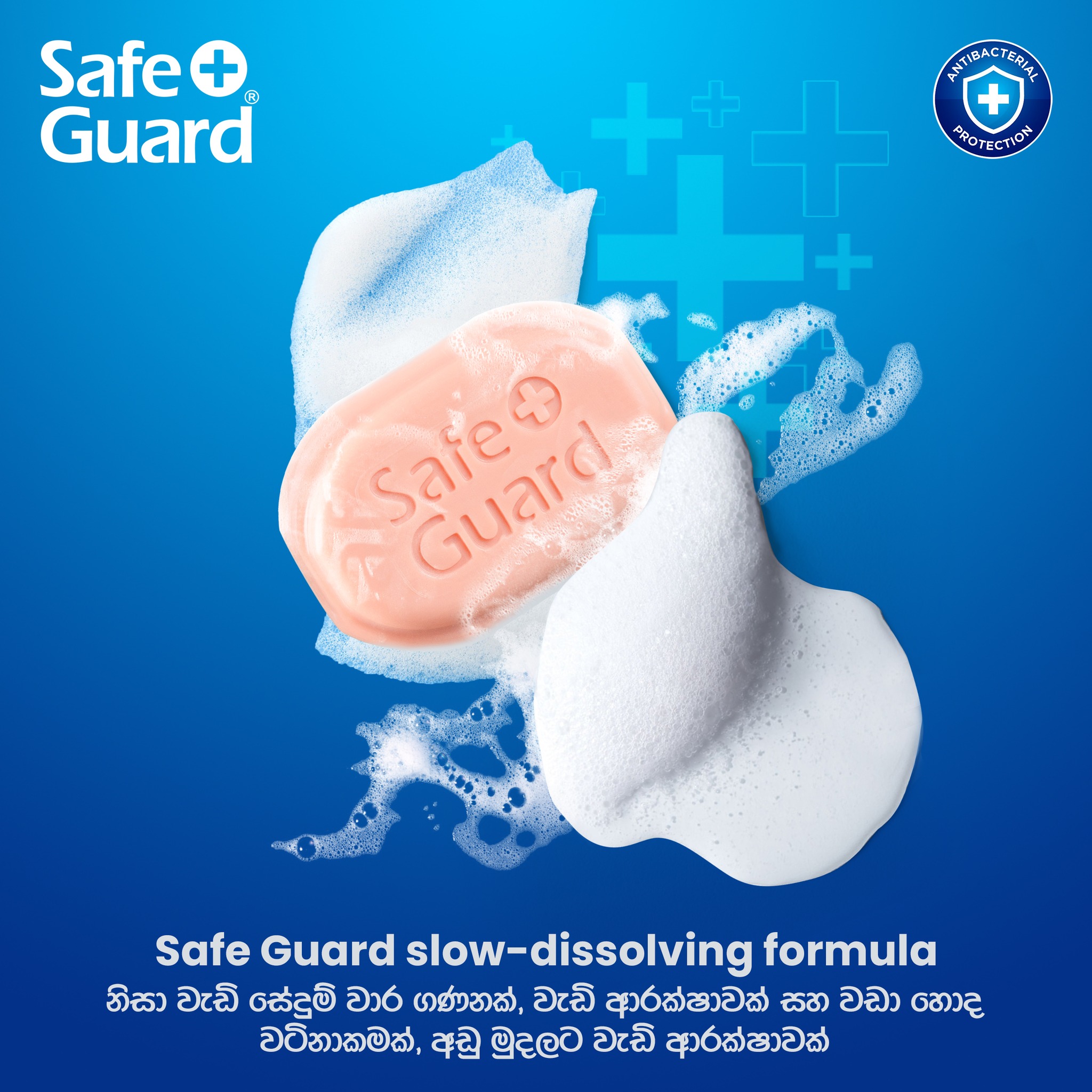 Safe Guard Sri Lanka