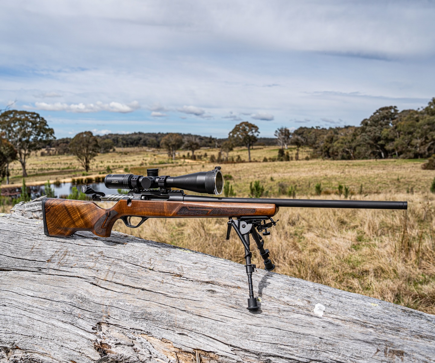 The definition of good wood!... - BPS Hunting Australia | Facebook