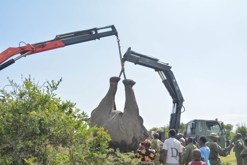 A field team from the Kenya Wildlife Service investigating the site where 15 elephants were discovered dead.