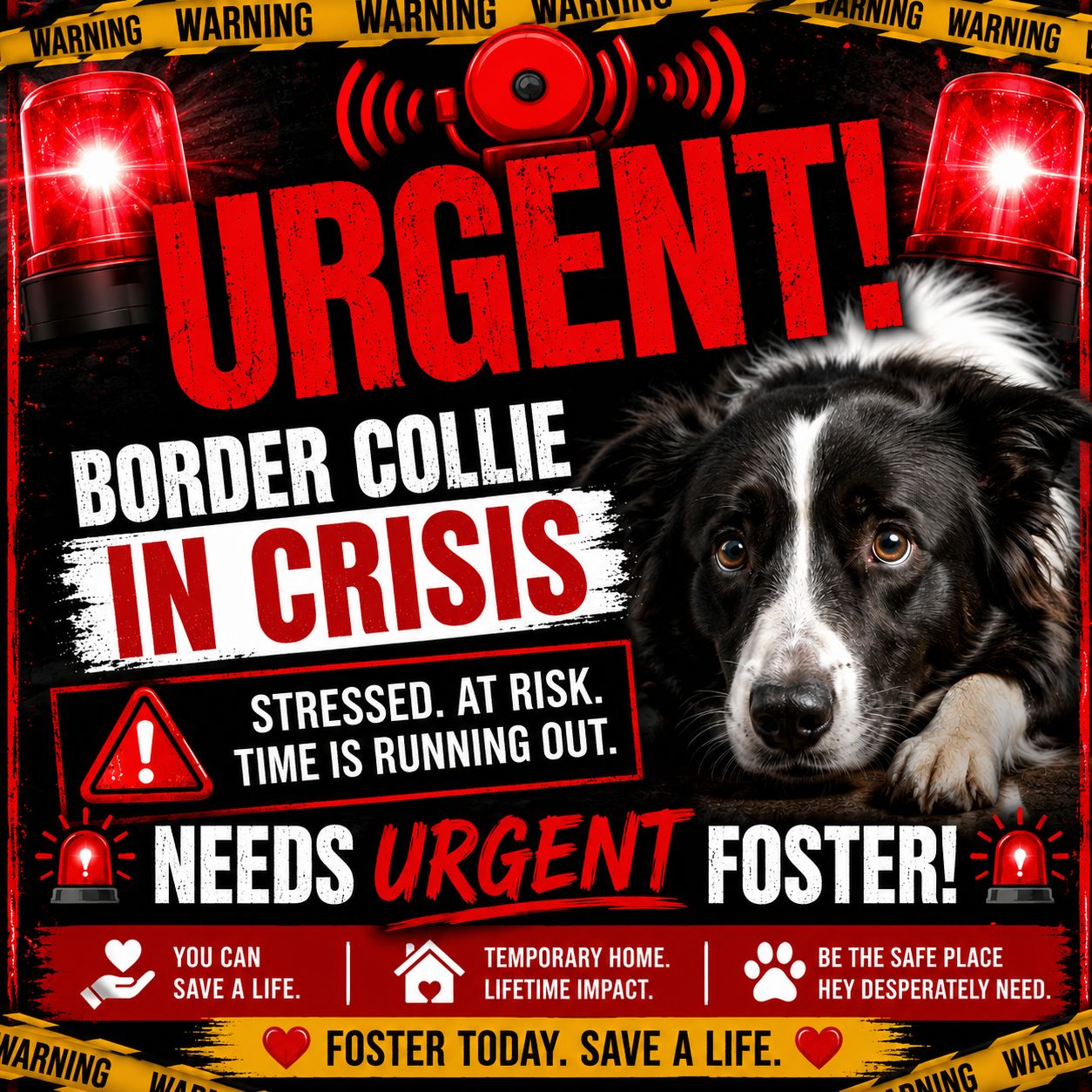❌️ URGENT URGENT URGENT ❌️ ⚠️Thank you everyone. So many 