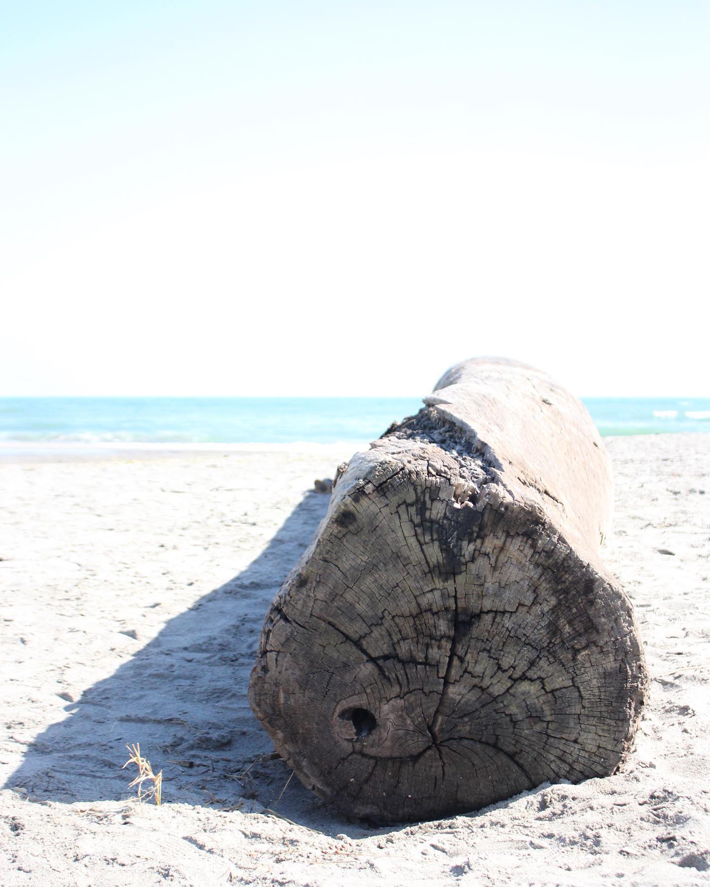 伊古部海岸 Toyohashi Shi Aichi Japan Beach Ocean Facebook