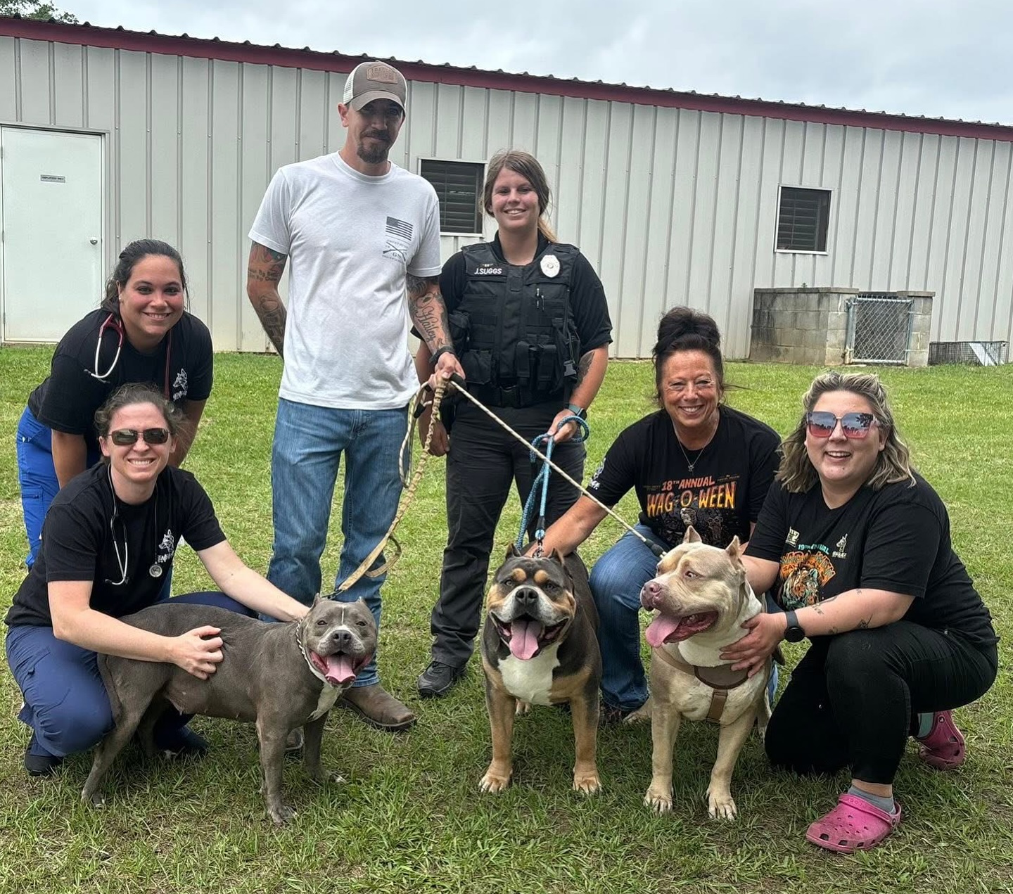 Renegade Paws Rescue added a new... - Renegade Paws Rescue