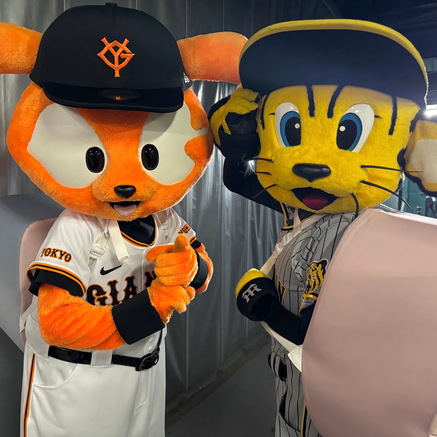 ⚾︎ ⁡ ⁡ トラッキーきょうもよろしくね⚾️✨ ⁡ ⁡ #333ジャビット