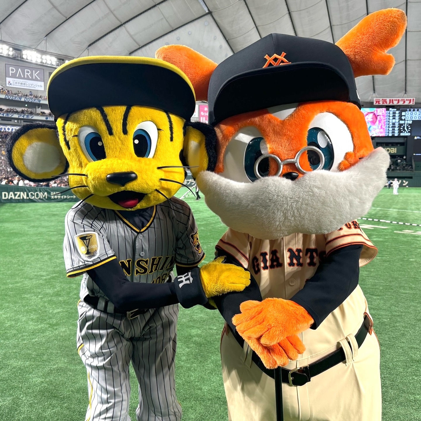⚾︎ ⁡ ⁡ トラッキーきょうもよろしくね⚾️✨ ⁡ ⁡ #333ジャビット