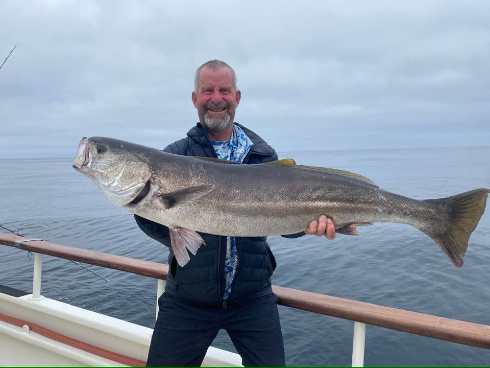 Success Sportfishing | Encinitas CA