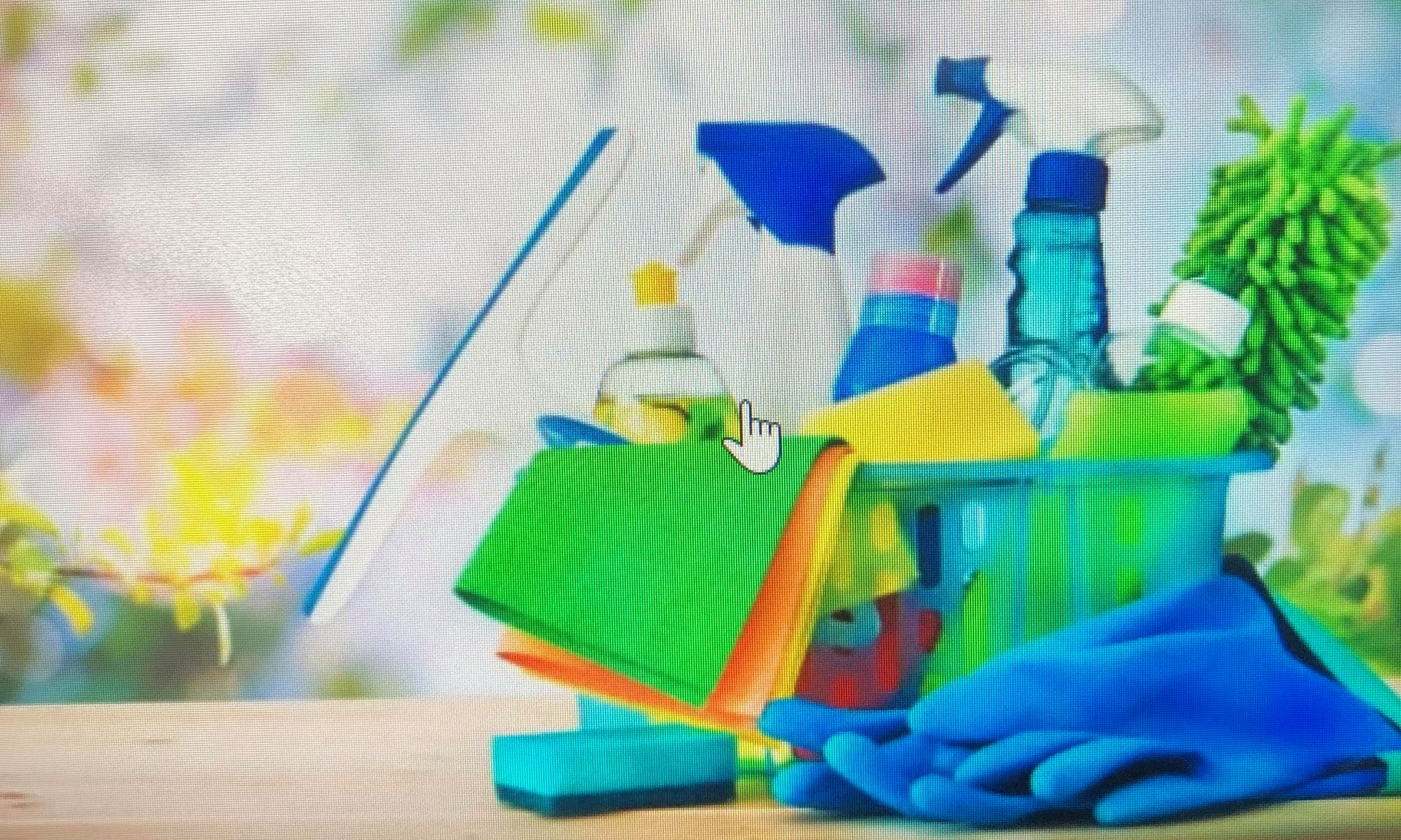 First Integrity Cleaning